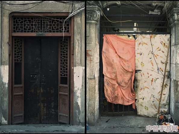 深入探秘《废墟图书馆》：全剧情视频集锦，解锁故事脉络与深层寓意序章