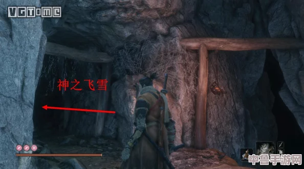 《只狼》神秘道具:神之飞雪的高效获取攻略与技巧! 《只狼》神秘道具:神之飞雪的高效获取攻略与技巧!