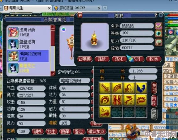 梦幻西游：宝宝光速成长秘籍，轻松升级无压力！