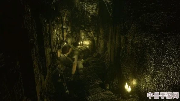 《生化危机6》全剧情深度图文解析，策略大师必备攻略秘籍！