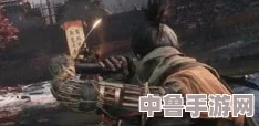 《只狼：影逝二度》七面武士全位置攻略 高效打法技巧，助你轻松过关斩将！