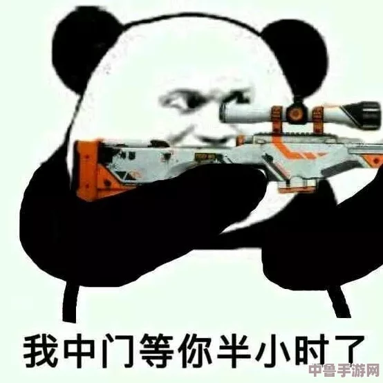 网络热梗：中门对狙背后的趣味含义与起源故事！