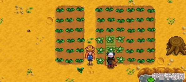 掌握星露谷稻草人制作秘籍，打造田园守护神详细步骤分享！