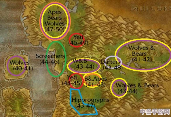 魔兽世界：菲拉斯神秘风蛇，精准坐标大公开！