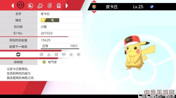 解锁宝可梦剑盾新成就！如何收集第六只独特卡洛斯风帽皮卡丘？