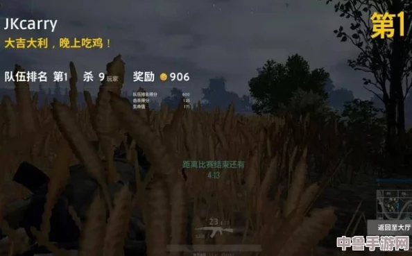 绝地求生大逃杀：高效回放技巧，轻松掌握快进秘籍！