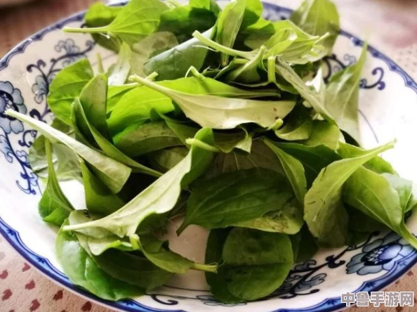 饥荒联机版:植物人开花背后的神奇效用与功能全解析! 饥荒联机版:植物人开花背后的神奇效用与功能全解析!