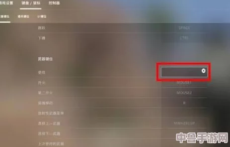 CS2高手:精准拆包,一键制胜!掌握关键按键技巧 CS2高手:精准拆包,一键制胜!掌握关键按键技巧