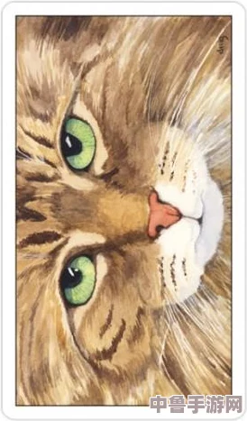 怪物猎人世界:终极猫奴指南!全猫咪技能解锁秘籍与高清图文教程 怪物猎人世界:终极猫奴指南!全猫咪技能解锁秘籍与高清图文教程