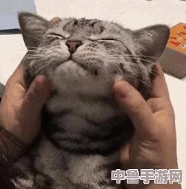 怪物猎人世界:终极猫奴指南!全猫咪技能解锁秘籍与高清图文教程 怪物猎人世界:终极猫奴指南!全猫咪技能解锁秘籍与高清图文教程